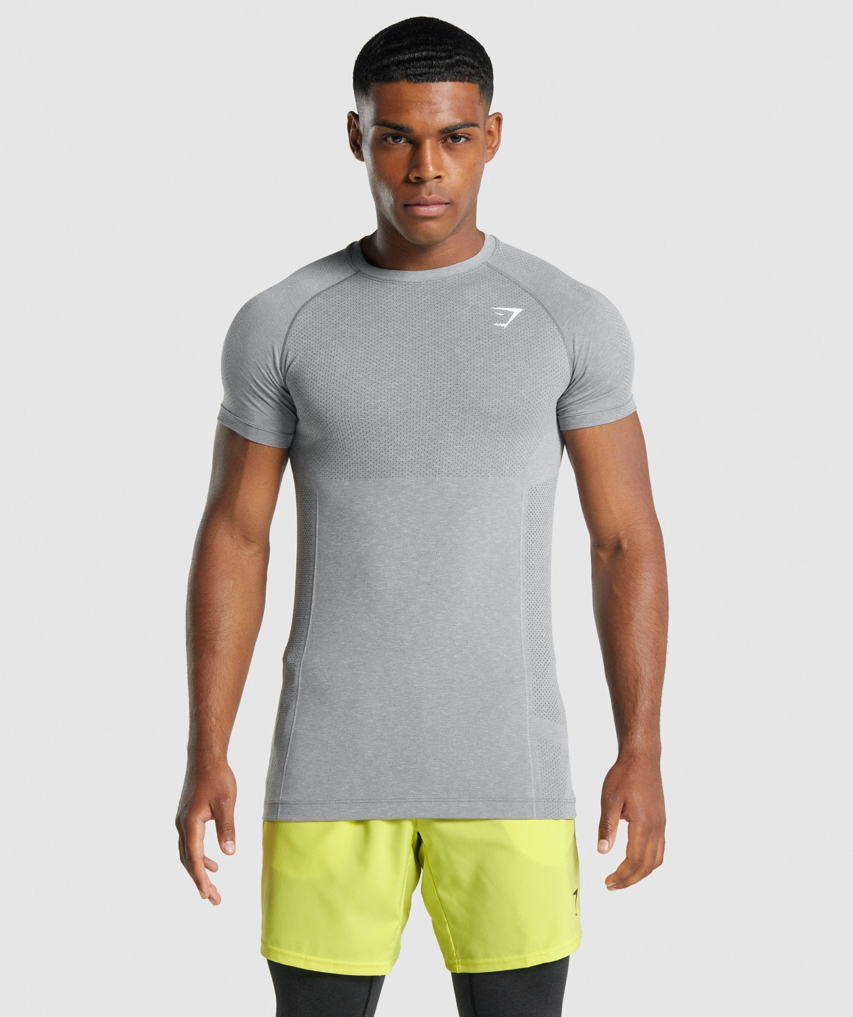 Gymshark Vital Light seamless T-shirts Herren Grau | 6018542-LO